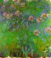 Agapanthe Claude Monet Fleurs impressionnistes